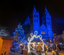 © Vincent Schneider