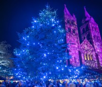 © Vincent Schneider