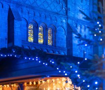 © Vincent Schneider